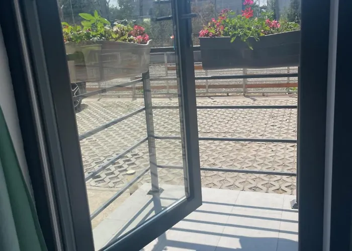 Mika * إيفوري نورد